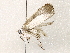  ( - BIOUG76502-D08)  @11 [ ] CreativeCommons - Attribution (2022) CBG Photography Group Centre for Biodiversity Genomics