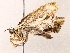  ( - BIOUG76502-D11)  @11 [ ] CreativeCommons - Attribution (2022) CBG Photography Group Centre for Biodiversity Genomics