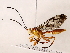  ( - BIOUG76502-E10)  @11 [ ] CreativeCommons - Attribution (2022) CBG Photography Group Centre for Biodiversity Genomics