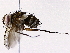  ( - BIOUG76503-C07)  @11 [ ] CreativeCommons - Attribution (2022) CBG Photography Group Centre for Biodiversity Genomics