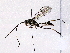  ( - BIOUG76503-E03)  @11 [ ] CreativeCommons - Attribution (2022) CBG Photography Group Centre for Biodiversity Genomics