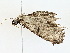  ( - BIOUG77720-E02)  @11 [ ] CreativeCommons - Attribution (2022) CBG Photography Group Centre for Biodiversity Genomics