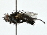  ( - BIOUG77738-A01)  @11 [ ] CreativeCommons - Attribution (2022) CBG Photography Group Centre for Biodiversity Genomics
