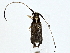  ( - BIOUG77738-C04)  @11 [ ] CreativeCommons - Attribution (2022) CBG Photography Group Centre for Biodiversity Genomics