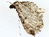  ( - BIOUG77738-C09)  @11 [ ] CreativeCommons - Attribution (2022) CBG Photography Group Centre for Biodiversity Genomics
