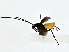  ( - BIOUG77738-E04)  @11 [ ] CreativeCommons - Attribution (2022) CBG Photography Group Centre for Biodiversity Genomics