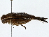  (Ponca - BIOUG77738-E08)  @11 [ ] CreativeCommons - Attribution (2022) CBG Photography Group Centre for Biodiversity Genomics