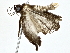  ( - BIOUG77755-B01)  @11 [ ] CreativeCommons - Attribution (2022) CBG Photography Group Centre for Biodiversity Genomics