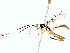  ( - BIOUG77755-C07)  @11 [ ] CreativeCommons - Attribution (2022) CBG Photography Group Centre for Biodiversity Genomics