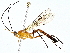  ( - BIOUG77755-C12)  @11 [ ] CreativeCommons - Attribution (2022) CBG Photography Group Centre for Biodiversity Genomics