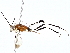  ( - BIOUG77755-D05)  @13 [ ] CreativeCommons - Attribution (2022) CBG Photography Group Centre for Biodiversity Genomics