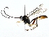  ( - BIOUG77755-D11)  @11 [ ] CreativeCommons - Attribution (2022) CBG Photography Group Centre for Biodiversity Genomics