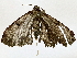  ( - BIOUG77755-H07)  @11 [ ] CreativeCommons - Attribution (2022) CBG Photography Group Centre for Biodiversity Genomics