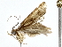  ( - BIOUG77756-B03)  @11 [ ] CreativeCommons - Attribution (2022) CBG Photography Group Centre for Biodiversity Genomics