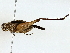  ( - BIOUG77721-C01)  @11 [ ] CreativeCommons - Attribution (2022) CBG Photography Group Centre for Biodiversity Genomics