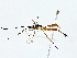  ( - BIOUG77721-E08)  @11 [ ] CreativeCommons - Attribution (2022) CBG Photography Group Centre for Biodiversity Genomics