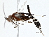  ( - BIOUG77721-G03)  @13 [ ] CreativeCommons - Attribution (2022) CBG Photography Group Centre for Biodiversity Genomics