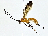  ( - BIOUG77722-D05)  @11 [ ] CreativeCommons - Attribution (2022) CBG Photography Group Centre for Biodiversity Genomics