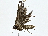  ( - BIOUG77722-E05)  @11 [ ] CreativeCommons - Attribution (2022) CBG Photography Group Centre for Biodiversity Genomics