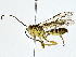  ( - BIOUG77722-F03)  @11 [ ] CreativeCommons - Attribution (2022) CBG Photography Group Centre for Biodiversity Genomics