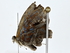  ( - BIOUG77738-G07)  @11 [ ] CreativeCommons - Attribution (2022) CBG Photography Group Centre for Biodiversity Genomics