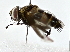  ( - BIOUG77740-A01)  @11 [ ] CreativeCommons - Attribution (2022) CBG Photography Group Centre for Biodiversity Genomics