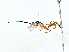  ( - BIOUG77741-A02)  @11 [ ] CreativeCommons - Attribution (2022) CBG Photography Group Centre for Biodiversity Genomics