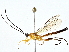 ( - BIOUG77757-D04)  @11 [ ] CreativeCommons - Attribution (2022) CBG Photography Group Centre for Biodiversity Genomics