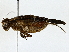  ( - BIOUG77757-F01)  @11 [ ] CreativeCommons - Attribution (2022) CBG Photography Group Centre for Biodiversity Genomics