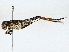 ( - BIOUG77757-G05)  @11 [ ] CreativeCommons - Attribution (2022) CBG Photography Group Centre for Biodiversity Genomics