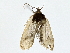  ( - BIOUG77758-A01)  @11 [ ] CreativeCommons - Attribution (2022) CBG Photography Group Centre for Biodiversity Genomics