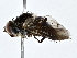  ( - BIOUG77758-D12)  @11 [ ] CreativeCommons - Attribution (2022) CBG Photography Group Centre for Biodiversity Genomics