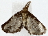  ( - BIOUG77759-E01)  @11 [ ] CreativeCommons - Attribution (2022) CBG Photography Group Centre for Biodiversity Genomics