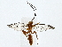  ( - BIOUG77759-E11)  @11 [ ] CreativeCommons - Attribution (2022) CBG Photography Group Centre for Biodiversity Genomics