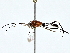  ( - BIOUG77760-B09)  @13 [ ] CreativeCommons - Attribution (2022) CBG Photography Group Centre for Biodiversity Genomics