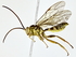 ( - BIOUG77722-H07)  @11 [ ] CreativeCommons - Attribution (2022) CBG Photography Group Centre for Biodiversity Genomics