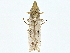  ( - BIOUG77723-B06)  @14 [ ] CreativeCommons - Attribution (2022) CBG Photography Group Centre for Biodiversity Genomics