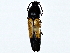  ( - BIOUG77723-G09)  @11 [ ] CreativeCommons - Attribution (2022) CBG Photography Group Centre for Biodiversity Genomics