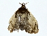  ( - BIOUG77724-C08)  @11 [ ] CreativeCommons - Attribution (2022) CBG Photography Group Centre for Biodiversity Genomics