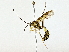  ( - BIOUG77724-H03)  @11 [ ] CreativeCommons - Attribution (2022) CBG Photography Group Centre for Biodiversity Genomics