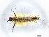  ( - BIOUG77724-H06)  @11 [ ] CreativeCommons - Attribution (2022) CBG Photography Group Centre for Biodiversity Genomics