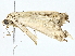  ( - BIOUG77741-D05)  @11 [ ] CreativeCommons - Attribution (2022) CBG Photography Group Centre for Biodiversity Genomics