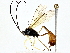  ( - BIOUG77741-H05)  @11 [ ] CreativeCommons - Attribution (2022) CBG Photography Group Centre for Biodiversity Genomics