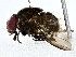  ( - BIOUG77742-E06)  @11 [ ] CreativeCommons - Attribution (2022) CBG Photography Group Centre for Biodiversity Genomics