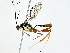  (crypMalaise01 Malaise0954 - BIOUG77742-F03)  @11 [ ] CreativeCommons - Attribution (2022) CBG Photography Group Centre for Biodiversity Genomics