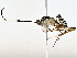  ( - BIOUG77742-H04)  @11 [ ] CreativeCommons - Attribution (2022) CBG Photography Group Centre for Biodiversity Genomics