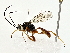  ( - BIOUG77743-A02)  @11 [ ] CreativeCommons - Attribution (2022) CBG Photography Group Centre for Biodiversity Genomics