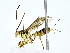  ( - BIOUG77743-A08)  @11 [ ] CreativeCommons - Attribution (2022) CBG Photography Group Centre for Biodiversity Genomics