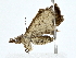  ( - BIOUG77743-G06)  @11 [ ] CreativeCommons - Attribution (2022) CBG Photography Group Centre for Biodiversity Genomics