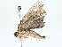  ( - BIOUG77760-F05)  @11 [ ] CreativeCommons - Attribution (2022) CBG Photography Group Centre for Biodiversity Genomics